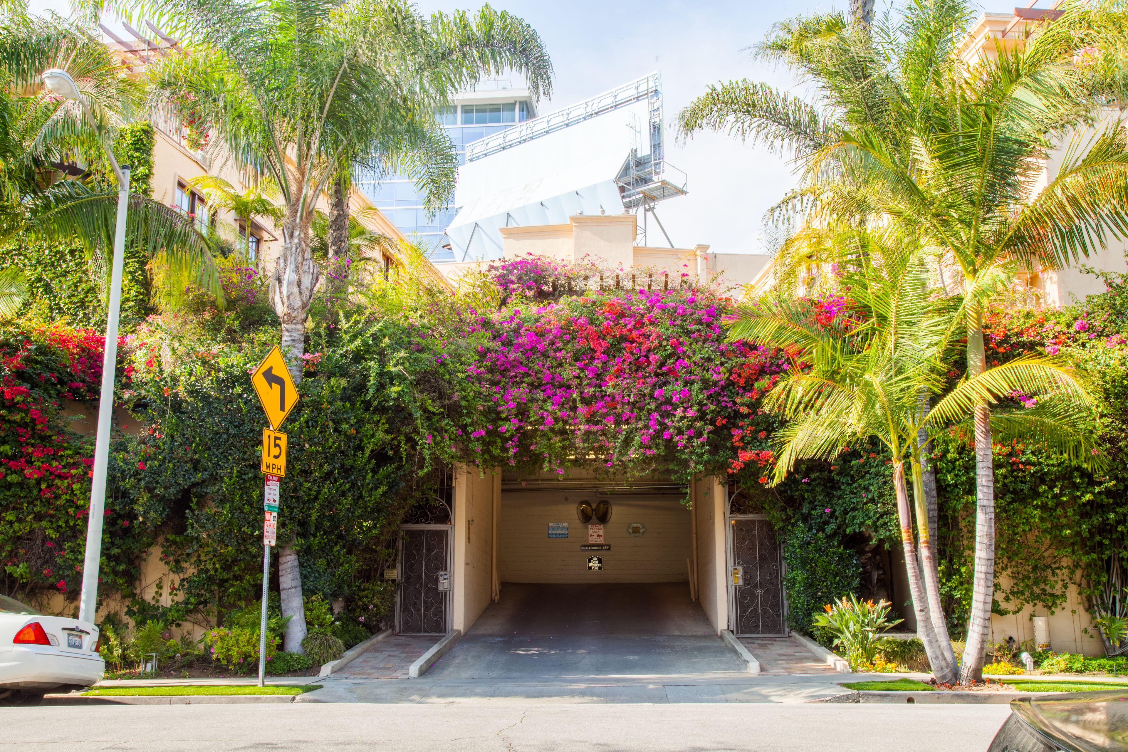 Best Western Plus Sunset Plaza Hotel — Foto’s 2